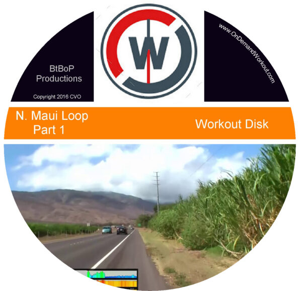 Training to Endure – Pu'u Kukui Loop - Maui Hawaii - Image 3