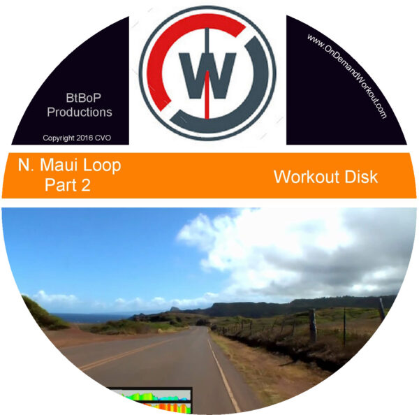 Training to Endure – Pu'u Kukui Loop - Maui Hawaii - Image 4