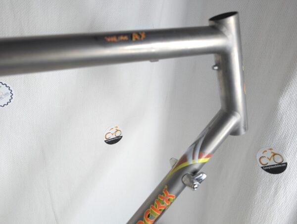 Eddie Merckx Titanium AX Bike Frame | 58CM - Large | 2000 Litespeed - Image 10