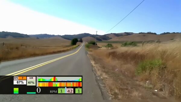 San Francisco Backroads | The Marshal Wall Challenge: Locals Loop - Image 6