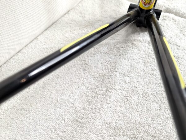 Bianchi Campione Del Mondo Imola Frame & Carbon Fork | 56cm Medium | 631 Steel - Image 17